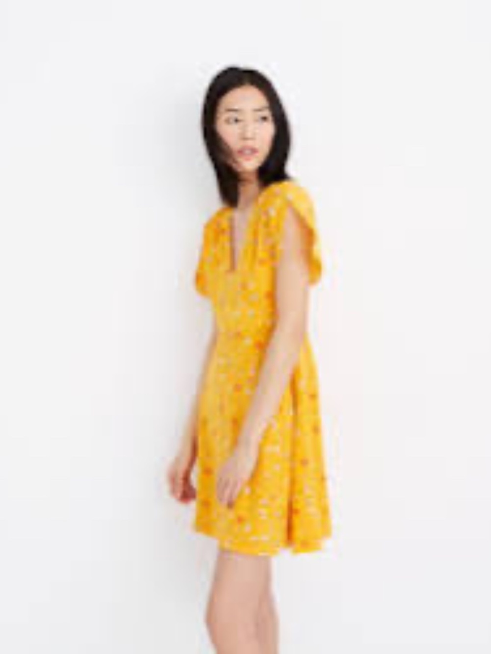 Madewell 6 Silk Belladonna Dress